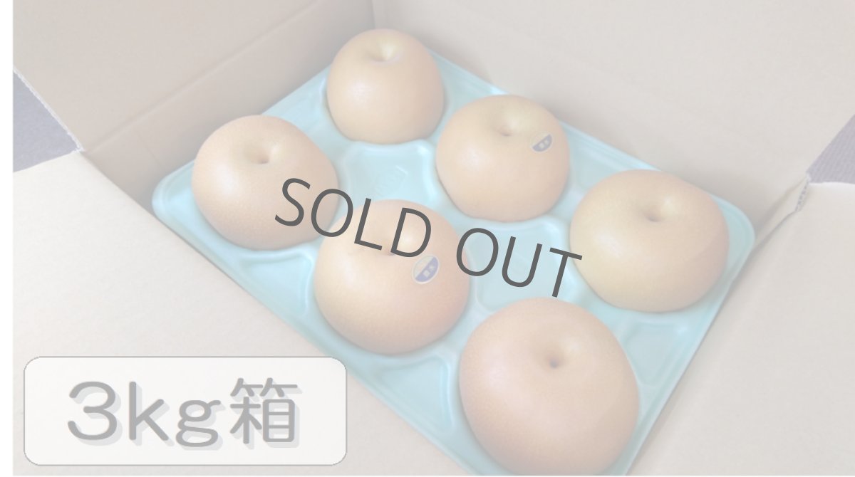 画像1: 豊水　3ｋｇ箱（9〜5個入り） (1)
