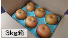 画像1: 豊水　3ｋｇ箱（9〜5個入り） (1)