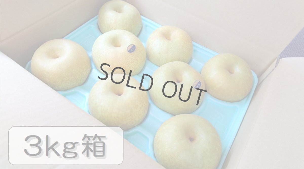画像1: 幸水　3ｋｇ箱（11〜5個入り） (1)