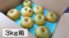 画像1: 幸水　3ｋｇ箱（11〜5個入り） (1)