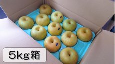 画像1: 幸水　5ｋｇ箱（16〜8個入り） (1)