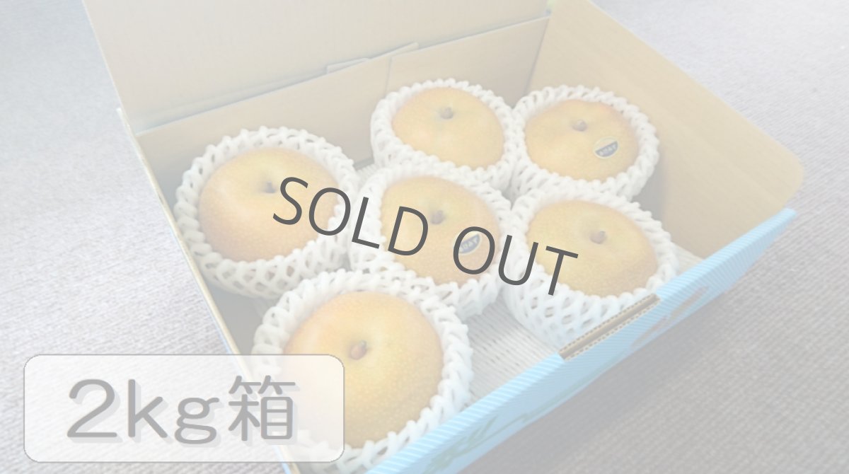 画像1: あけみず　2ｋｇ箱（8〜6個入り） (1)
