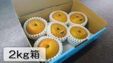 画像1: あけみず　2ｋｇ箱（8〜6個入り） (1)