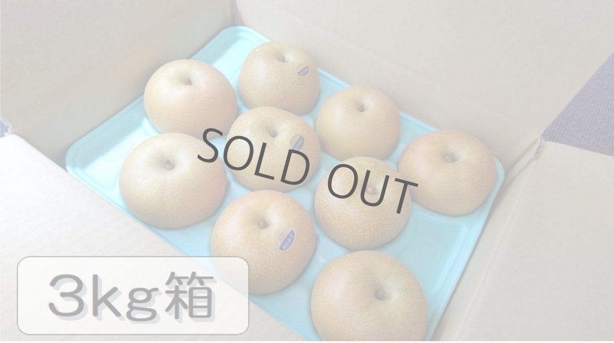 画像1: あけみず　３ｋｇ箱（11〜6個入り） (1)