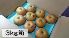画像1: あけみず　３ｋｇ箱（11〜6個入り） (1)