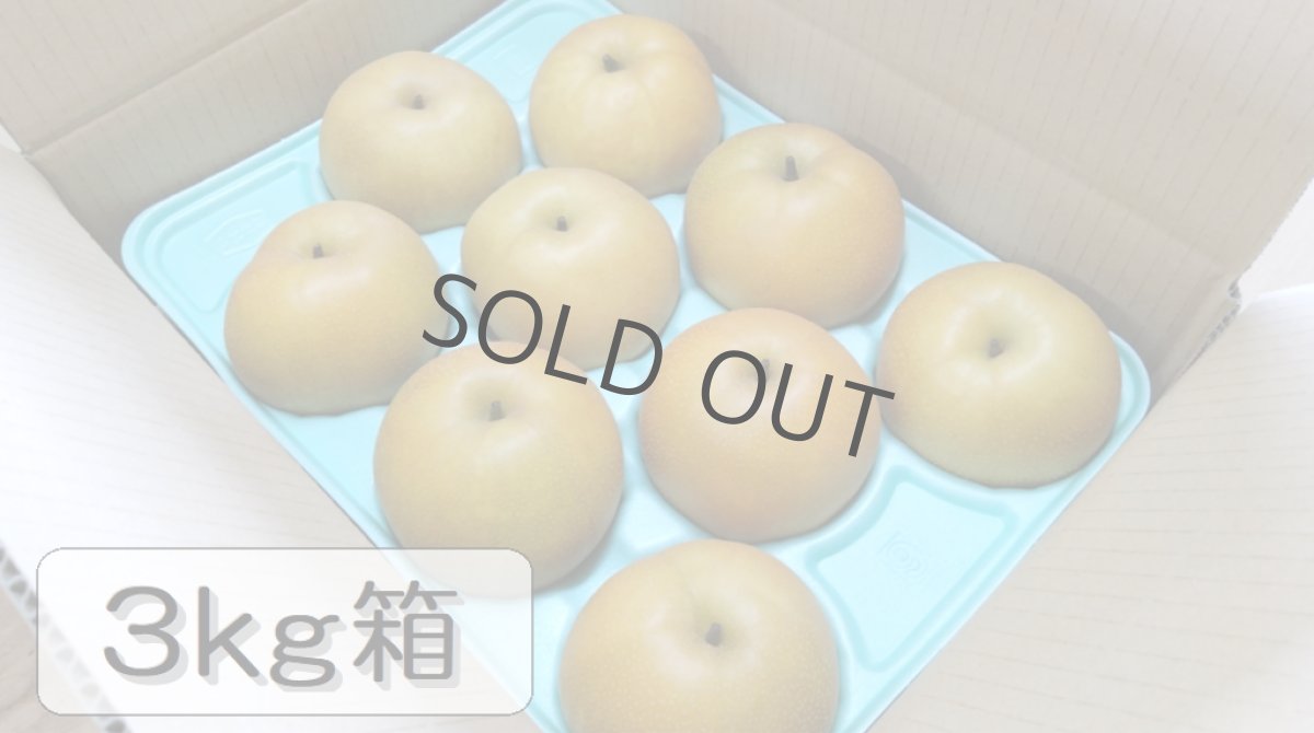 画像1: 香麗　３ｋｇ箱（11〜6個入り） (1)