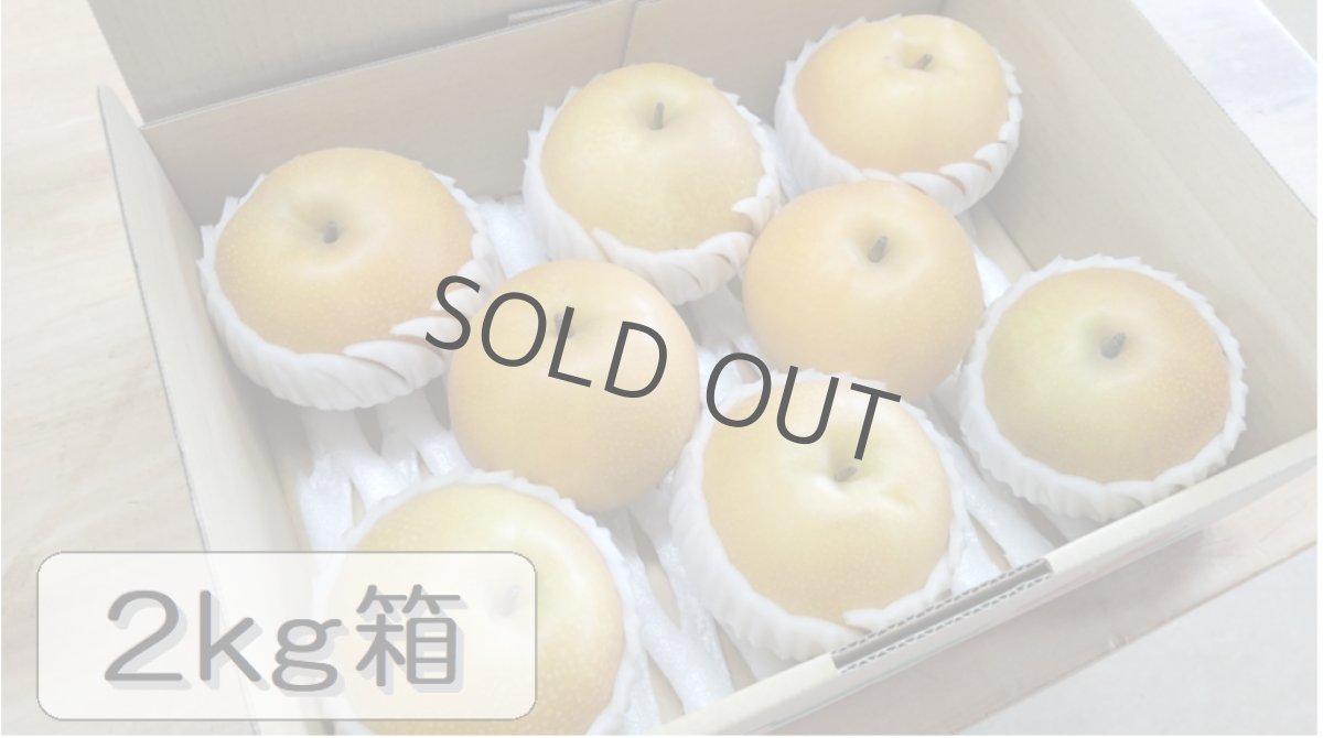 画像1: 香麗　2ｋｇ箱（8〜6個入り） (1)