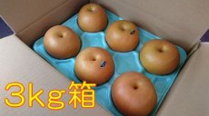 画像1: 豊水　3ｋｇ箱（9〜5個入り） (1)